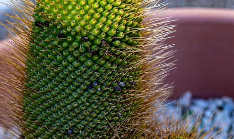 La última cena en casa de los Ramírez: una familia, una traición
