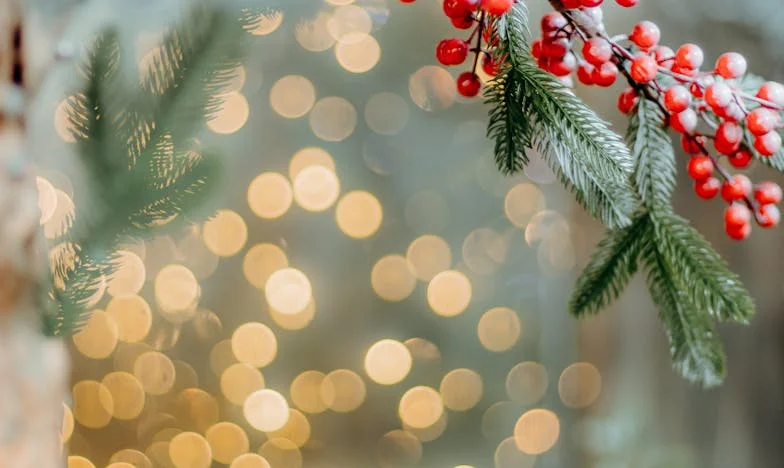 Nadie podía traer a mi nieto, hasta que una visita inesperada lo cambió todo: El viaje de mi padre hacia el perdón