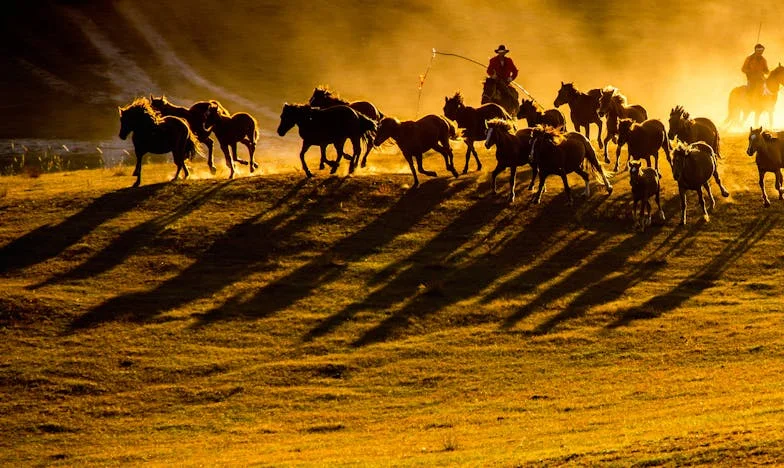 ¡No firmes nada! Mi lucha por mi hogar, mi hija y mi dignidad tras la traición de mi esposo