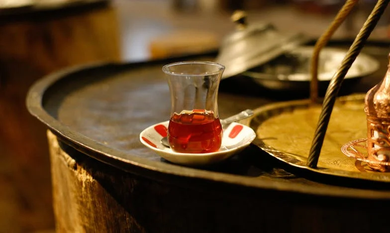 Raíces Compartidas: Cuando Mi Suegra Llegó a Casa