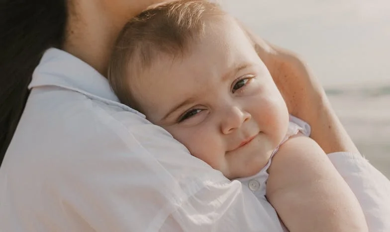 Sombras en la casa: la historia de una familia partida