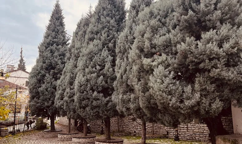 ¿Soy una mala madre o por fin les di alas?