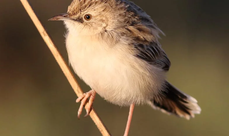 “Tienes un mes para irte de mi casa”: El día que mi suegra me echó a la calle