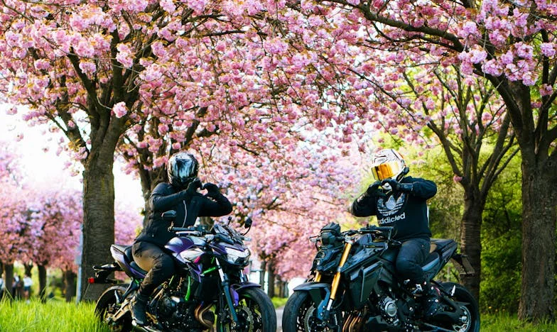 Todo se quedó con ella: Una historia de pérdida, familia e invisibilidad