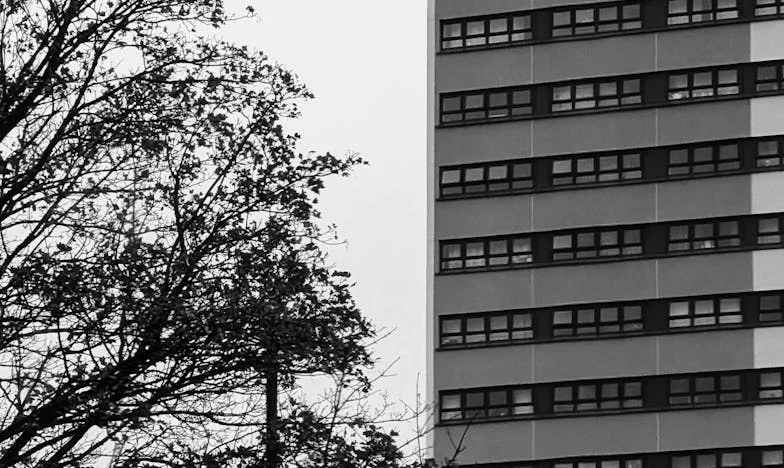 Un verano, un ultimátum: ¿Cómo salvé a mi familia (o solo me engañé a mí misma?)