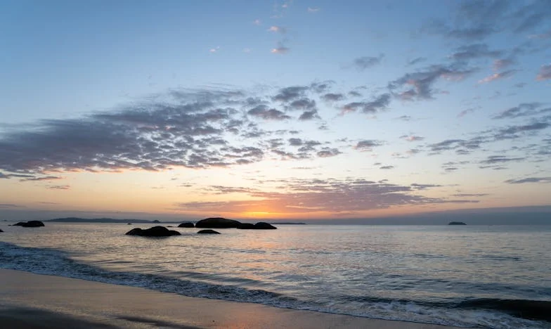 Bajo el mismo techo: la traición de mi propia sangre