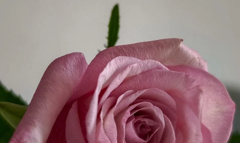 ¿Ciego o indiferente? La historia de Natalia y el precio invisible de la vida cotidiana