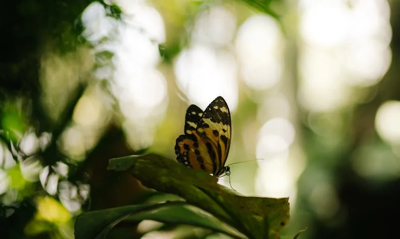Cuando fingimos no estar: El peso invisible de la abuela