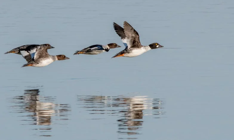 Cuando mi hermano tocó la puerta: traición, familia y el precio del perdón