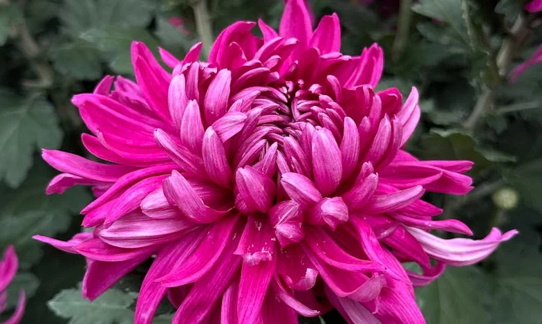 Cuando mi vecina me abrió los ojos: La verdad que no quería escuchar