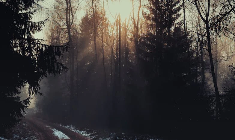 El precio de un techo: entre el deber y el rencor