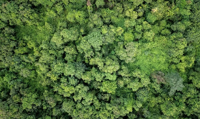 Excluida de la Felicidad: Un Corazón de Madre en la Frontera
