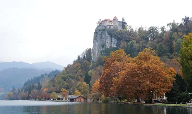 Herencia de Soledad: El Precio de un Cariño Fingido