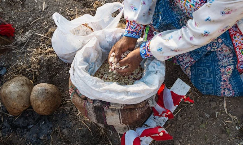 La abuela de todos, menos de mis hijos