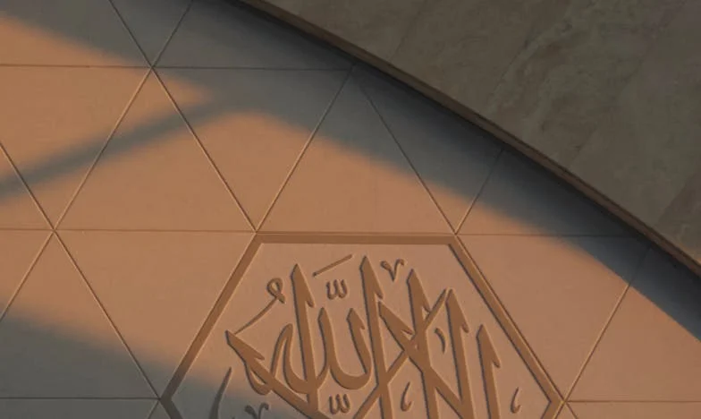 La Bendición Inesperada de la Abuela Rosa: Entre la Pérdida y los Nuevos Comienzos