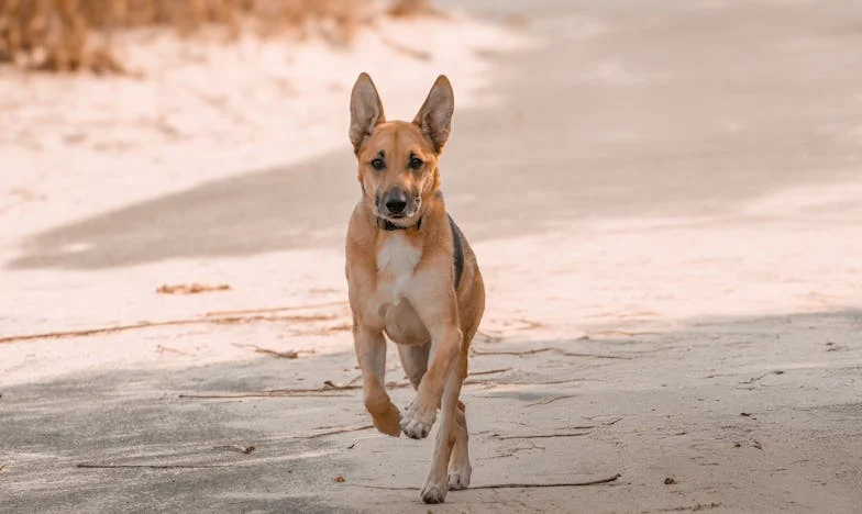 La noche en que mis hijos volvieron a la mesa