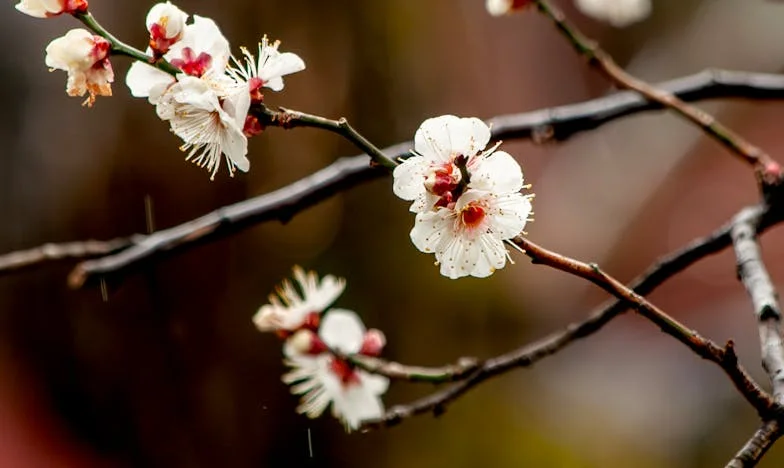La sombra de la confianza: Cuando la familia se convierte en extraños