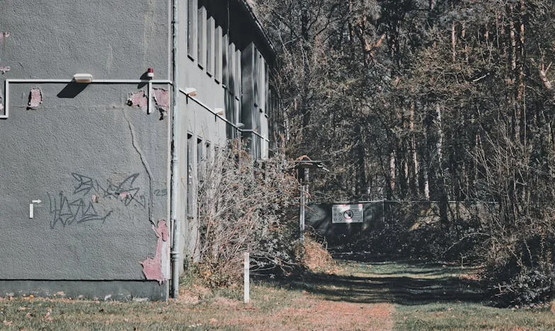 Lazos Inesperados: Cuando mi Suegra se Volvió mi Refugio