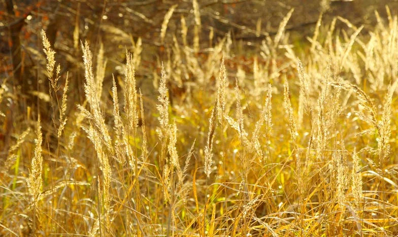 “Mamá, tú siempre pudiste…”: Un verano de silencios y ausencias