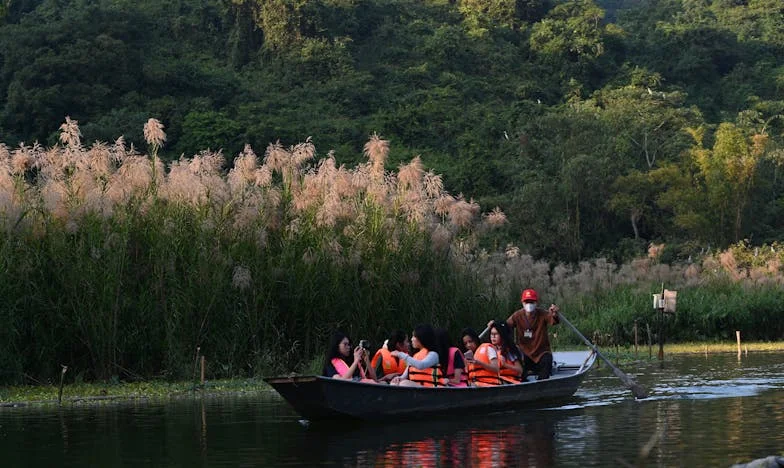 Mi hija ya no es la misma: Cómo mi yerno nos alejó de nuestra propia sangre