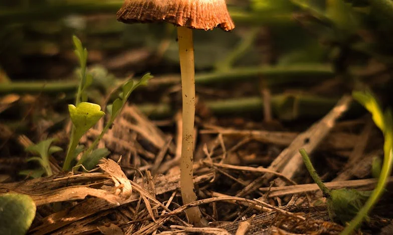 No soy la empleada de la familia: el día que dije basta