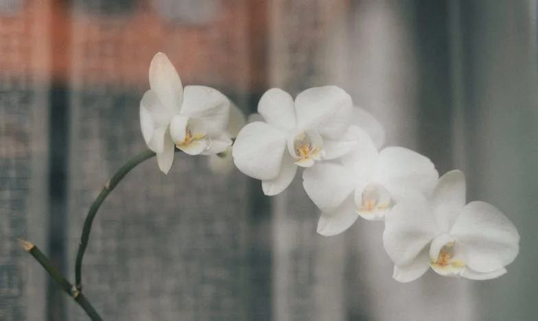 No soy tu salvavidas: La historia de Valeria y el peso de los sueños ajenos