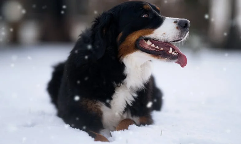 “Adoro a mi hijo, pero no soporto a mi hija”: El boomerang de la vida en la casa de los Ramírez