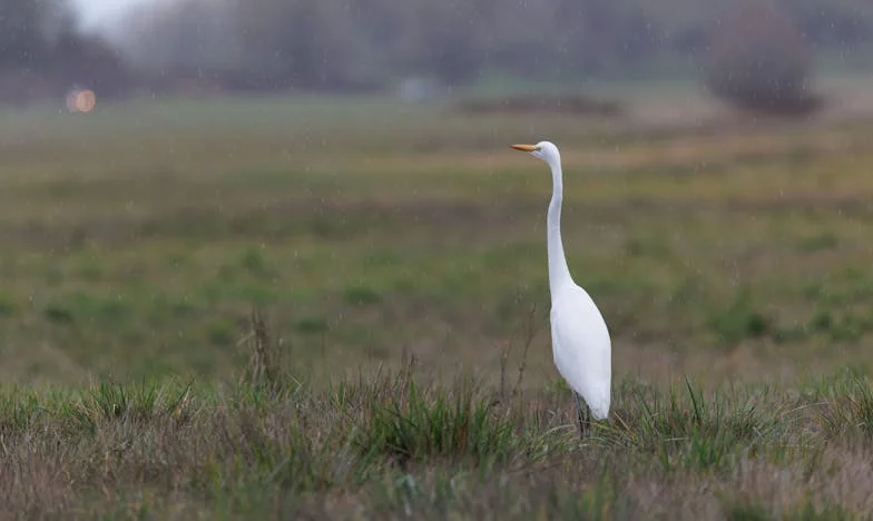 Cuando Dejé Todo Atrás: Carta Desde Tijuana