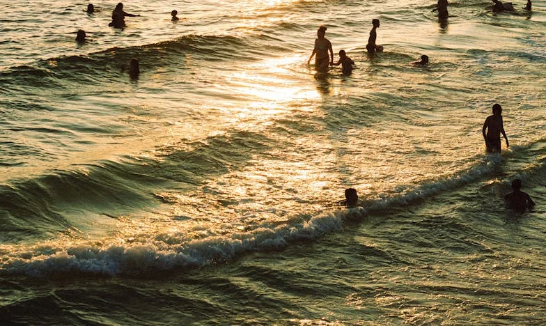 Cuando el nido vuelve a llenarse: La historia de Frank y yo