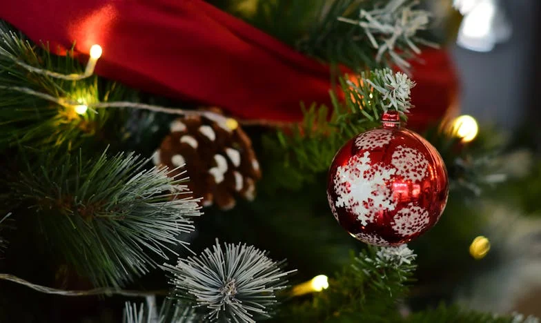 Cuando la Sangre se Mezcla con el Dinero: La Historia de una Casa y una Familia Rota