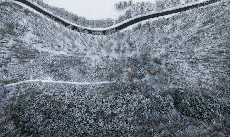 Desde las cenizas: La historia de Magda en un pueblo de Chiapas