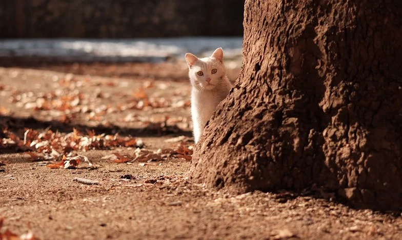 El eco de los silencios: Una vida entre deudas y esperanza