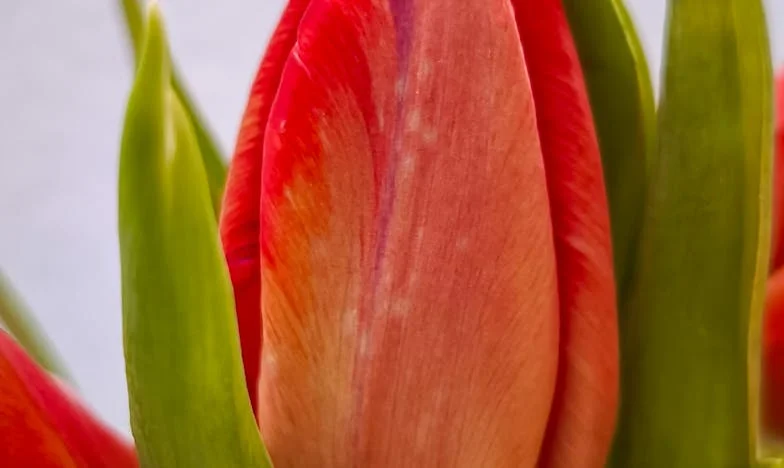 El precio de la indiferencia: una noche en el Hospital San Rafael