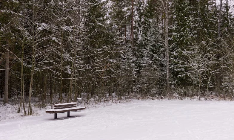 El regalo que rompió mi familia: La historia de Mariana