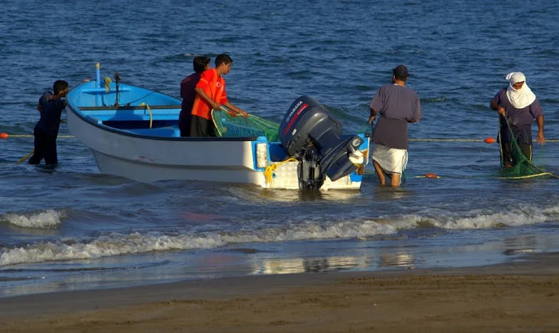 La Boda de las Sillas Vacías: El Secreto Que Rompió Mi Silencio