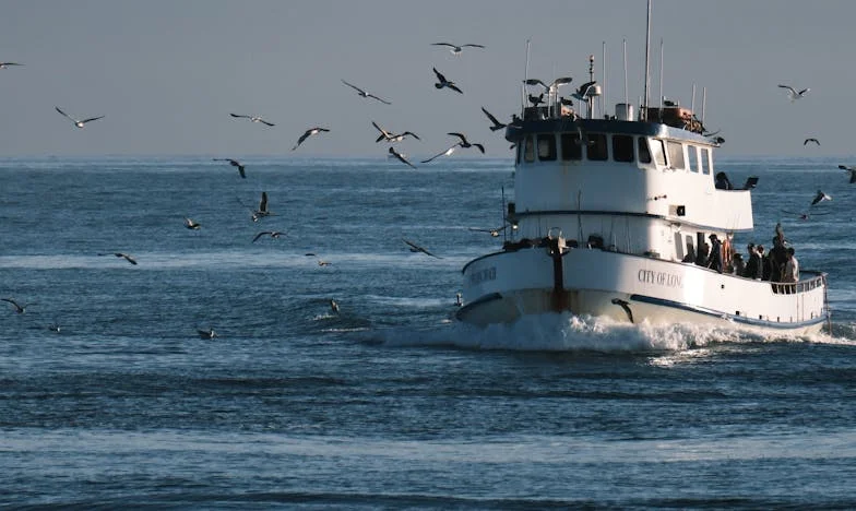 Las deudas ocultas de mi esposo – Cuando el pasado se cuela en el presente