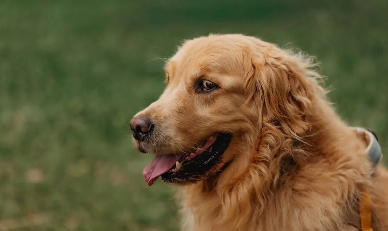 Las medias rotas de mi hijo: una noche que lo cambió todo