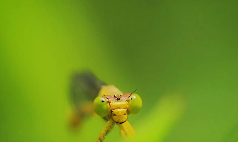 Mi auto, mi familia y el perdón que nunca se dijo: una historia de confianza rota