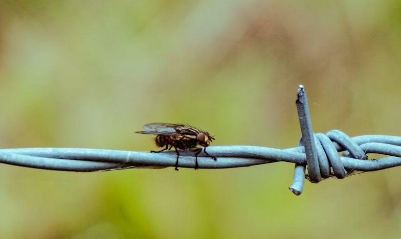 Mi hija casi da a luz en la cocina mientras preparaba la cena: Un grito silencioso en la familia