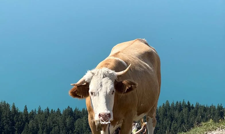 Mi hijo merece más: Cuando la familia te da la espalda