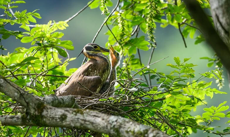 Mi madre vendió la casa de la abuela sin avisarme: ¿qué queda de la familia cuando se pierde la confianza?
