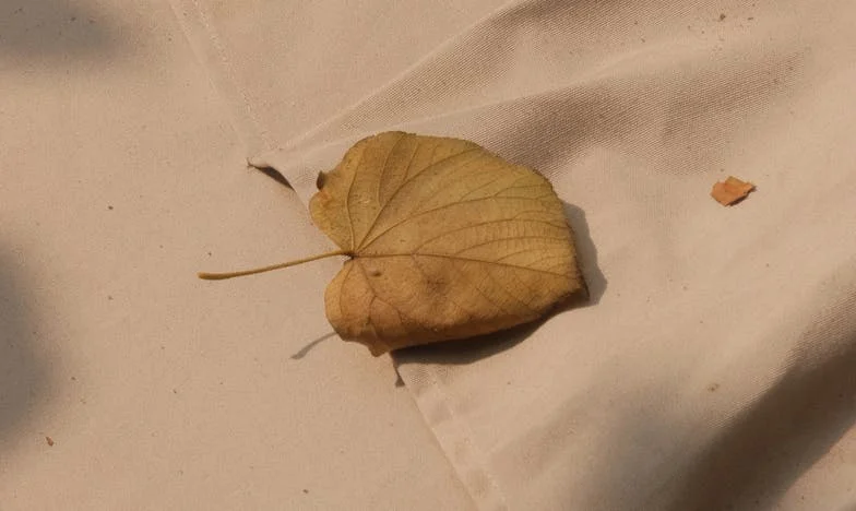 Si tienes un poco de conciencia, al menos lava los platos: Historia de una madre de Medellín