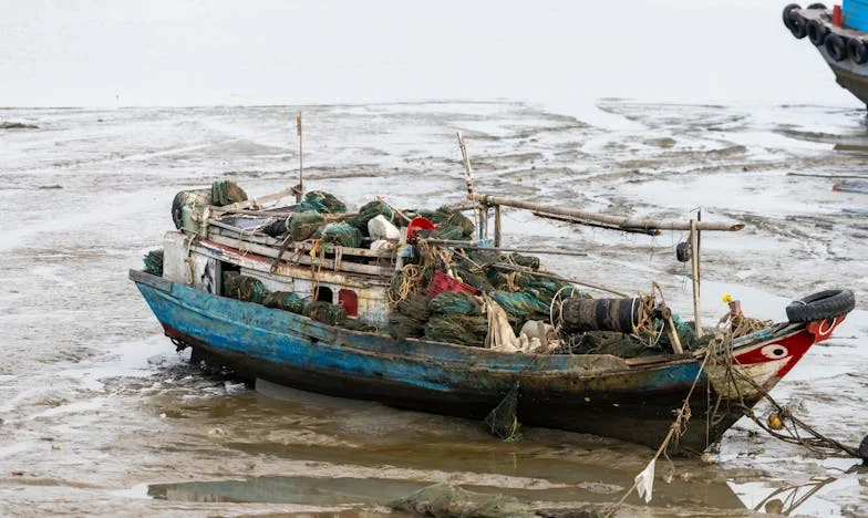 Sombras de duda: cómo mi suegra descubrió la verdad sobre mí