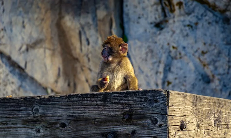 Un corazón de madre roto: El sacrificio de Mariana y la traición inesperada