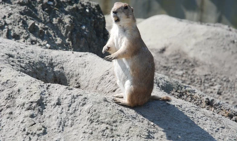Cuando la abuela elige: una herida que no se cierra