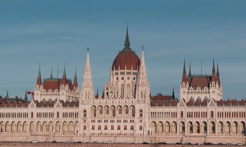 El día que una llamada desconocida cambió mi vida para siempre