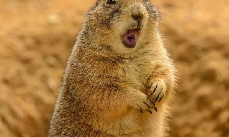 Herencia en la sombra: El secreto de la finca de los Gutiérrez