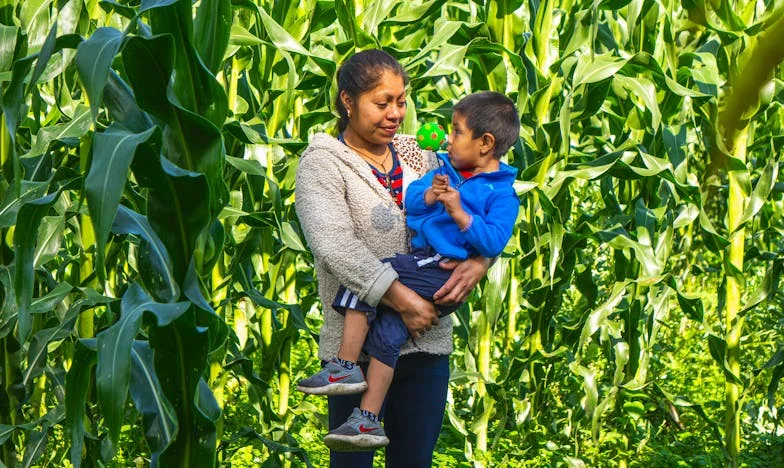 Setenta años y transparente: El grito silencioso de una madre