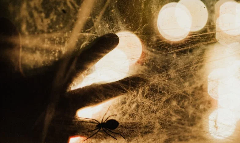 Cuando el amor llama a la puerta equivocada: Crónica de un departamento en Villa Lugano