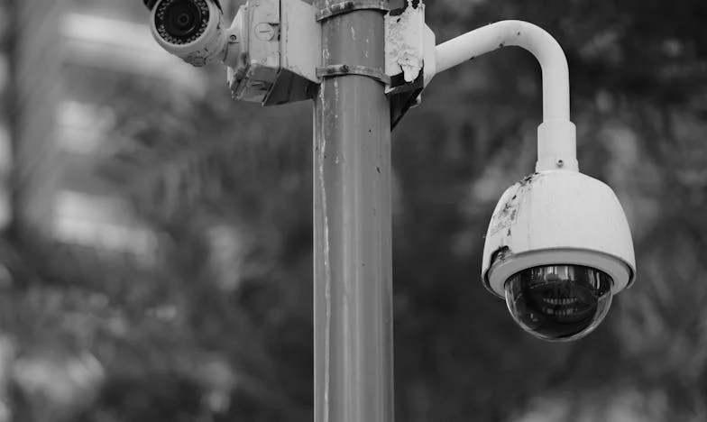 Cuando el amor se convierte en campo de batalla: La historia de Mariana entre su esposo y su familia